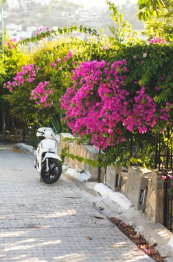 bodrum yaz sokaklarda