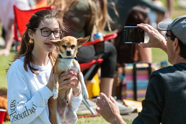 Mujer joven levanta a Chihuahua para tomar foto de Smartphone — Foto de Stock