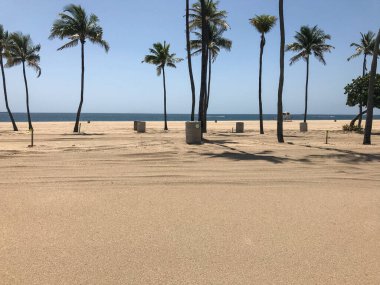 Fort Lauderdale, Florida 'da bir halk plajı Coronavirus salgınından dolayı tamamen boş.. 