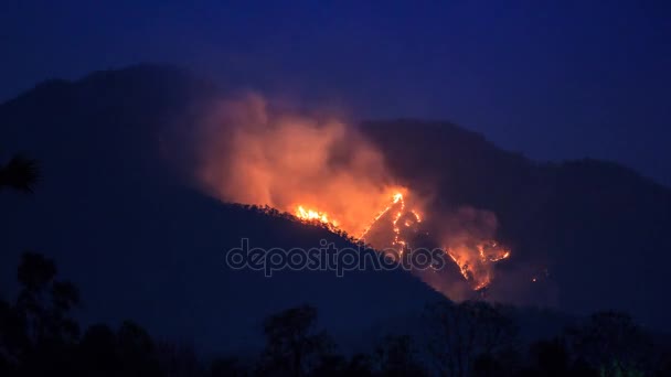 Wildfire ardiendo en la montaña 4K Time Lapse — Vídeo de stock