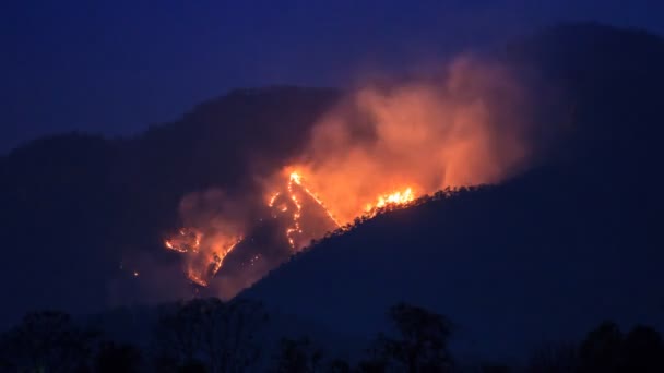 Brûlure Feu Forêt Sur Montagne Time Lapse — Video