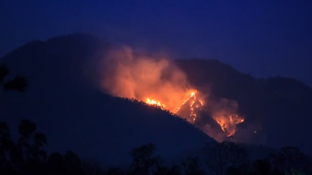 Лесной Пожар Полыхает Горах Времени — стоковое видео