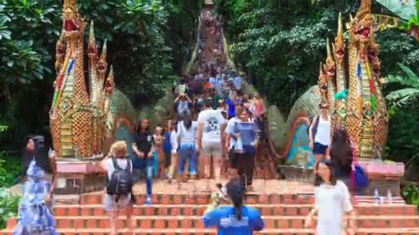 Wat Phra That Doi Suthep Temple - 20 de enero de 2017: El lapso de tiempo Muchas personas caminando por la hermosa escalera de serpiente antigua hacia el templo Lugares de interés de viaje de Chiang Mai, Tailandia 2017 (inclinarse hacia arriba ) — Vídeos de Stock