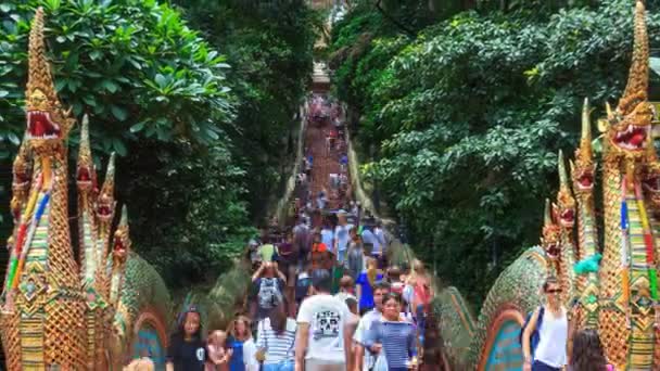 Wat Phra That Doi Suthep Temple - 20 de enero de 2017: El lapso de tiempo Muchas personas caminando por la hermosa escalera de serpiente antigua hacia el templo Lugares de interés de Chiang Mai, Tailandia 2017 (alejarse ) — Vídeos de Stock