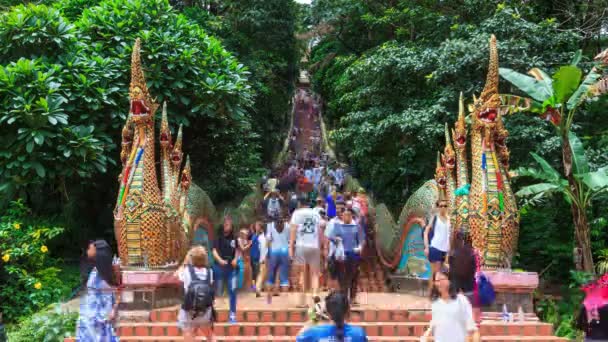 Wat phra that doi suthep tempel - 20. januar 2017: im zeitraffer gehen viele menschen auf schönen alten schlangentreppen zu den tempeldenkmälern reisezielen von chiang mai, thailand 2017 — Stockvideo