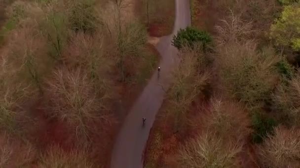 Aerial view of cyclists on a downhill run in a forest park — Stock Video