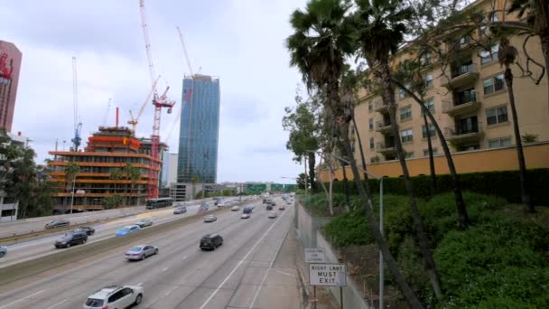 Freeway with high rise buildings — Stock Video