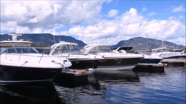 Rad båtar båtar i en marina — Stockvideo