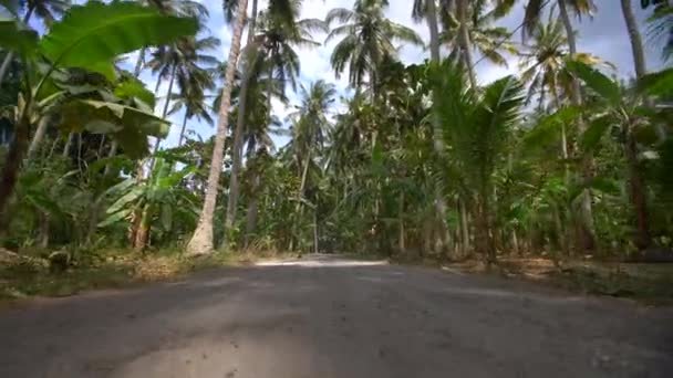 Az ember egy moped, lovaglás a dzsungelen keresztül — Stock videók