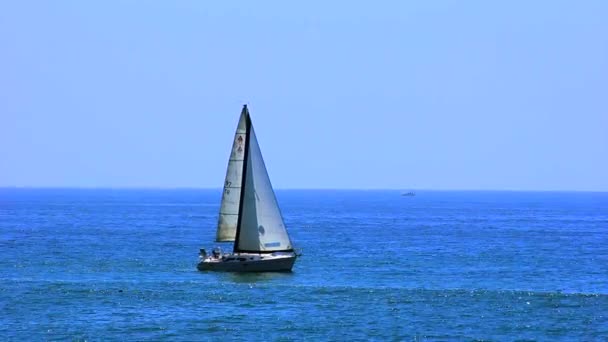 Sailing Santa Monica Beach — Stock Video