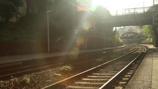 Tåget kommer så småningom in på stationen — Stockvideo