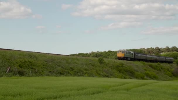 Train passing by a green field in Norwich — Stock Video