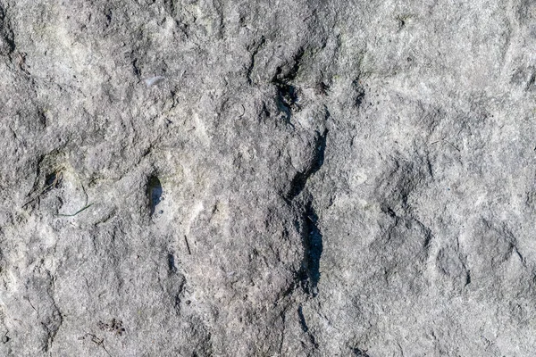 灰色の岩の大まかなテクスチャ — ストック写真