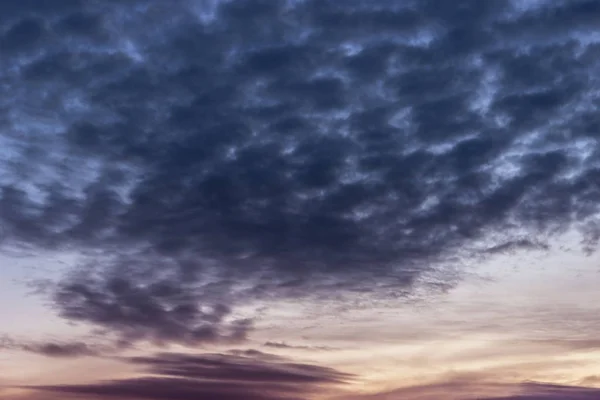 Ciemne Cumulus Chmury Unoszą Się Nad Niebem Przed Wschodem Słońca — Zdjęcie stockowe