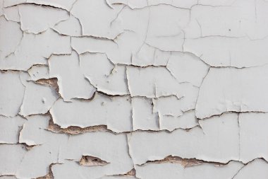 İğrenç beyaz bir duvar boyası soyuluyor..