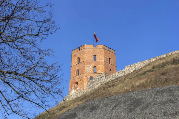 Gediminas Tårn Vilnius Litauen Nederste Billede - Stock-foto