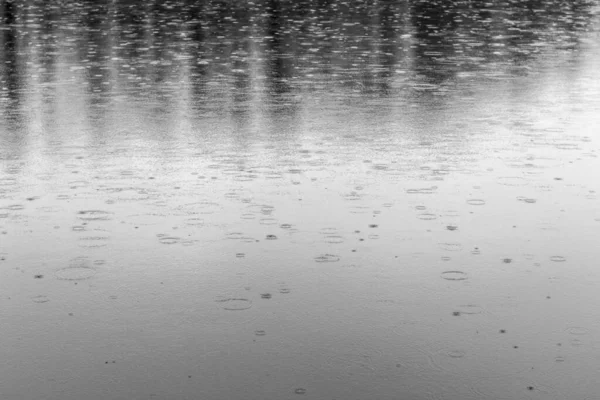 湖の水の表面に雨が降る 白黒の画像 — ストック写真