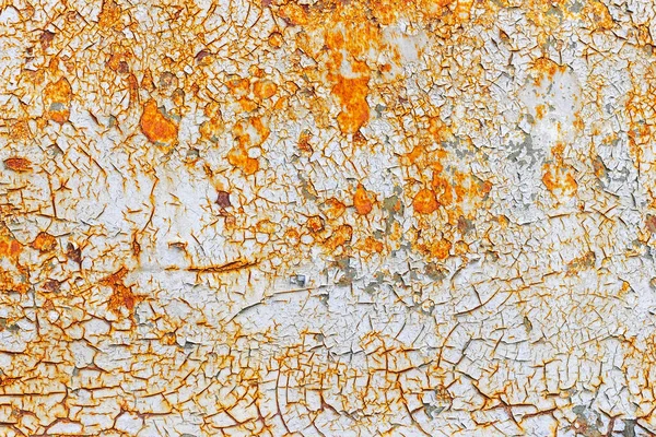 Rusty metal surface. Old white paint is peeled and crumbled from a rusty metal plate.