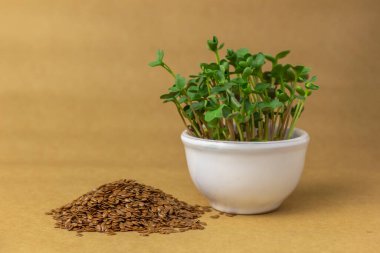 Bir tohum yığını ve kahverengi zemin üzerinde mikroyeşillikler olan el yapımı seramik kap. Evde büyüyen mikro yeşillik kavramı.