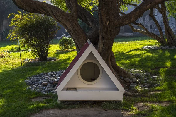 Casa Gatti Senzatetto Parco Cittadino Prendersi Cura Animali Domestici Senzatetto — Foto Stock