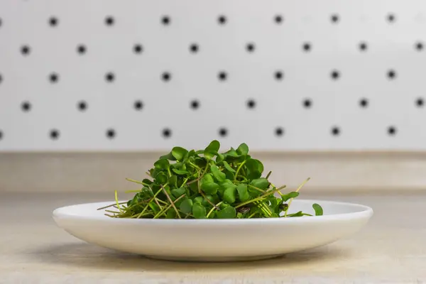 Mikrogreens Segar Dalam Piring Putih Atas Meja Dapur Fokus Selektif — Stok Foto