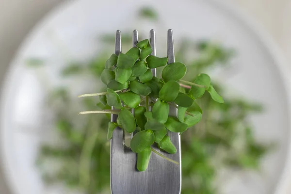 Garpu Logam Dengan Microgreens Segar Atas Piring Pemandangan Bagus Fokus — Stok Foto