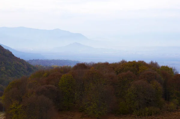 Vedere Panoramică Pădurii Toamnă Munții Carpați Ucraina Împușcat Orizontal Aer — Fotografie, imagine de stoc