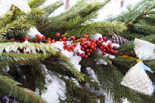 Noel Süslemeleri Köknar Ağacı Böğürtlen Karla Kaplanmış Dekoratif Elementlerle — Stok fotoğraf
