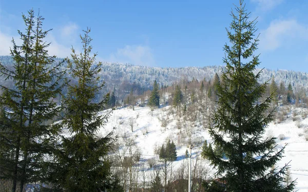 Winter Mountain Landscape Carpathian Mountains Ukraine Stock Image