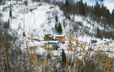 Slavske köyü yakınlarındaki karlı orman, Karpat dağları, Ukrayna. Yatay açık hava çekimi