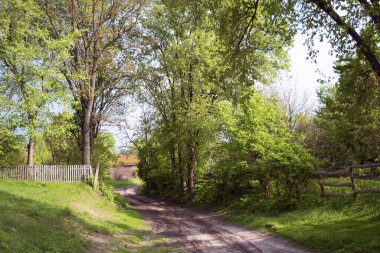 Baharın başında kırsal kesimde yol