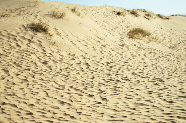 Олешские пески на голубом небе в Херсонской области Украины, крупнейшей пустыне Европы
