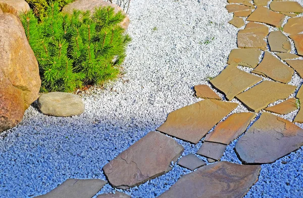 庭の緑低木が。歩道近くの低木 — ストック写真