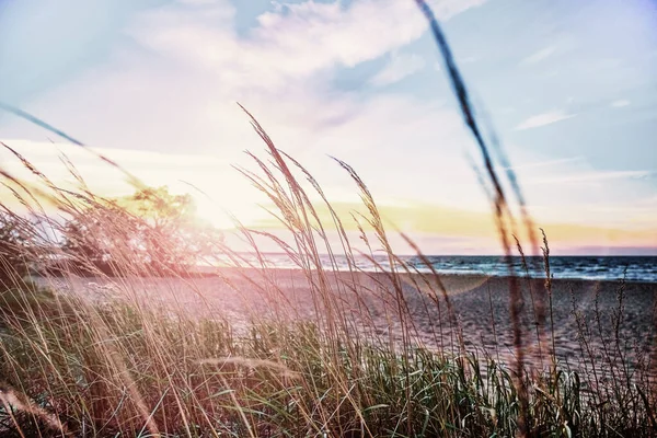 Bela paisagem ardente do pôr do sol sobre o mar e o céu laranja acima dele com incrível reflexo dourado do sol sobre as ondas calmas no fundo . — Fotografia de Stock Grátis