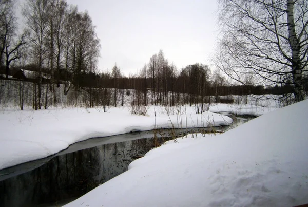冬の森の中の凍えない小さな川 — ストック写真