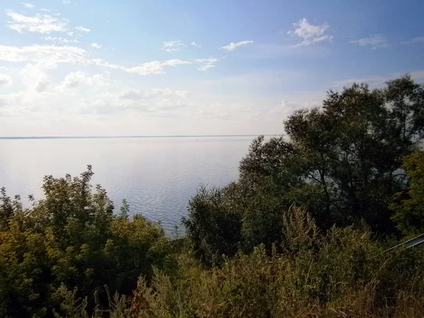 Zelené Stromy Břehu Řeky — Stock fotografie