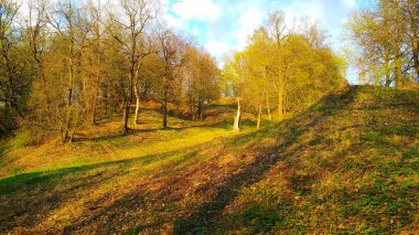 Günbatımında renkli sonbahar ormanı