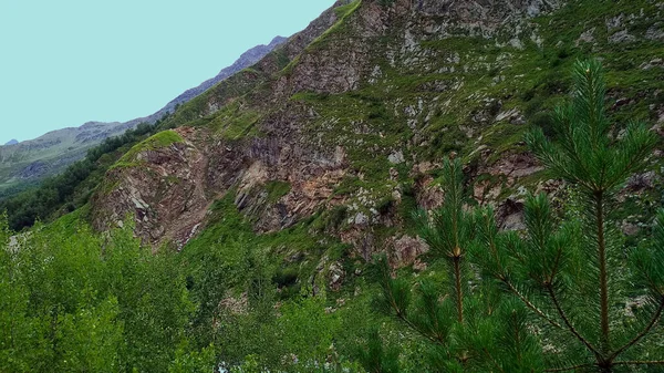 Ліс Гори Кавказу — стокове фото