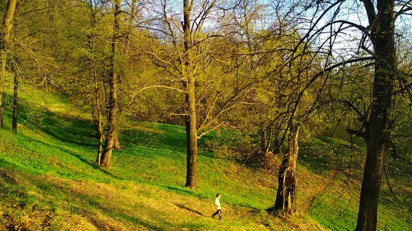 Kleine Man Loopt Door Een Enorm Bos — Stockfoto