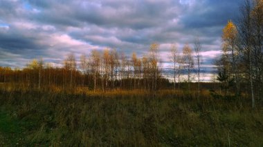 Gün batımında tarla ve sonbahar ormanları