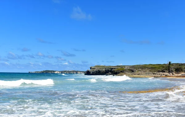 Vackra Klippiga Havskusten Dominikanska Republiken — Stockfoto