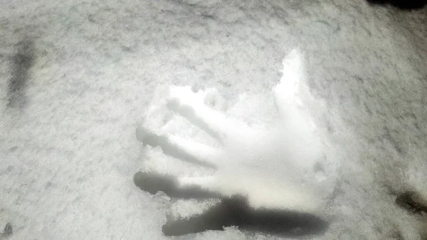 Impression Palme Dans Neige — Photo