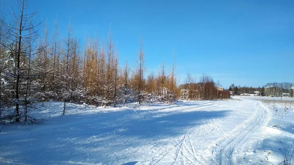 Skidbacke Ett Snöfält — Stockfoto