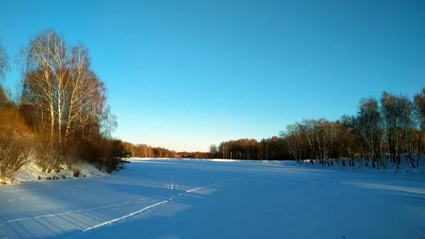 Замерзшее Зимнее Озеро Лесу — стоковое фото