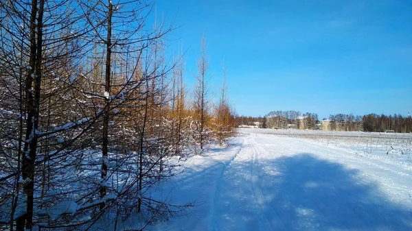 Pista Sci Campo Innevato — Foto Stock