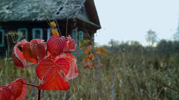 Vieille Maison Bois Dans Village Abandonné — Photo