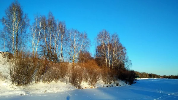 雪の中の冬の森の湖 — ストック写真