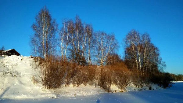 雪の中の冬の森の湖 — ストック写真