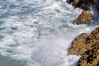 Kayalık Atlantik kıyıları. Dominik Cumhuriyeti