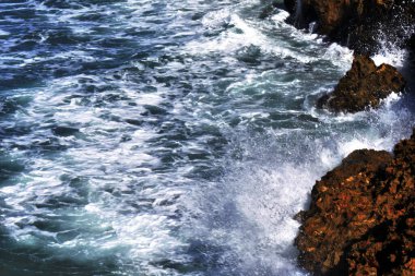 Kayalık Atlantik kıyıları. Dominik Cumhuriyeti